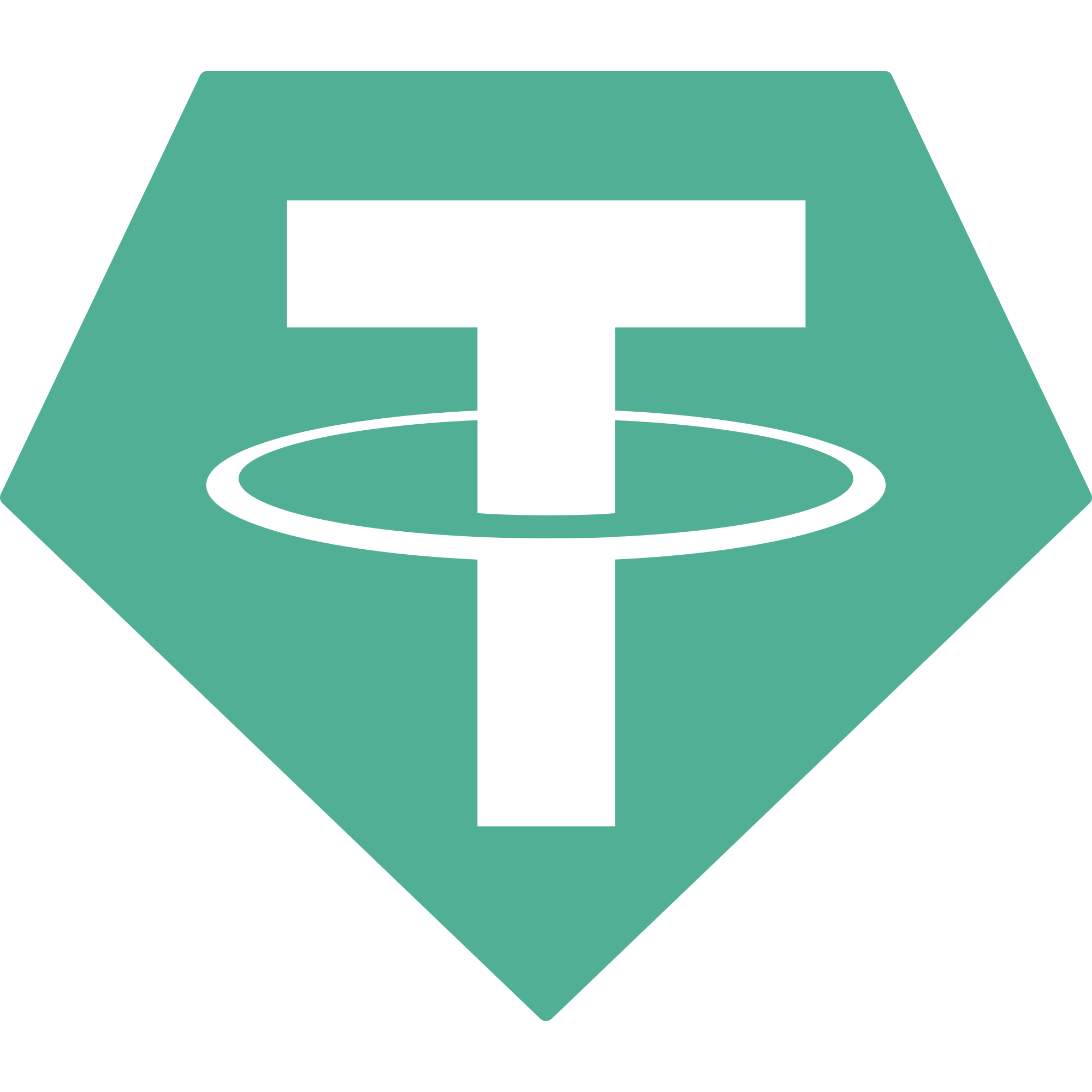 USDT Icon